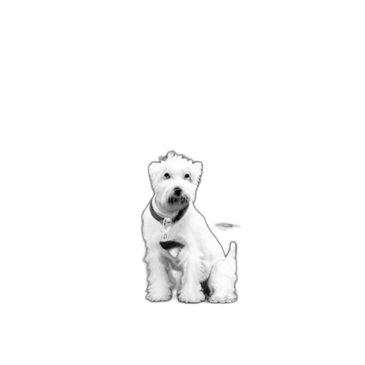 animal, staff, creature, robot, pixel art, photorealistic, pencil sketch, 3d render transparent PNG cut-out