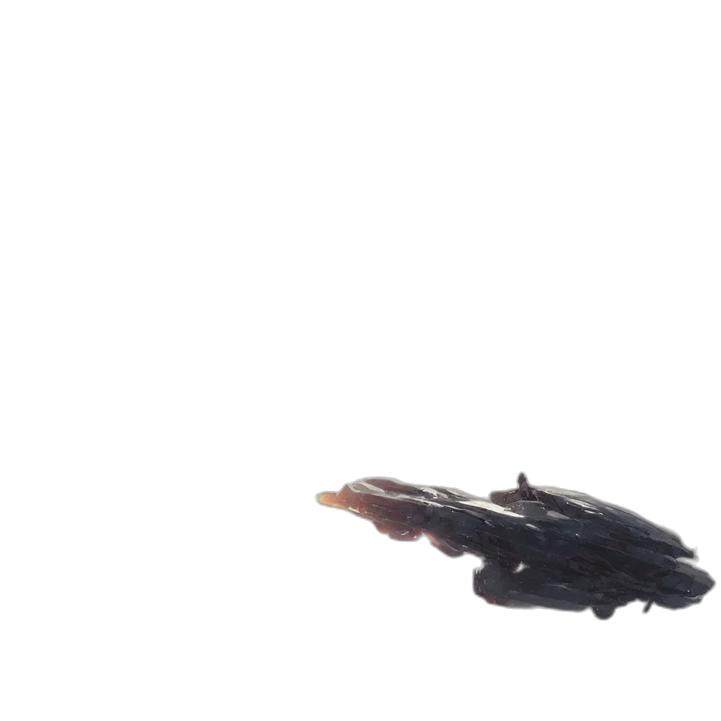 dragon, creature, weapon, car transparent PNG cut-out