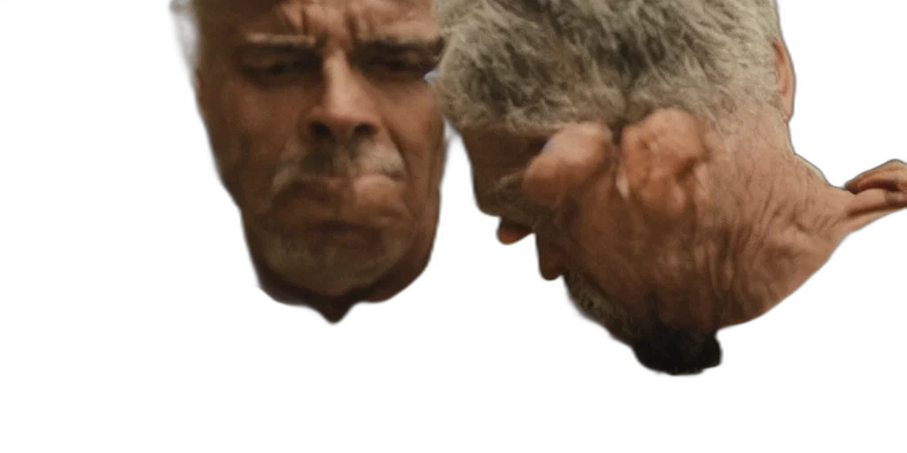 face, mask, hair, crown transparent PNG cut-out