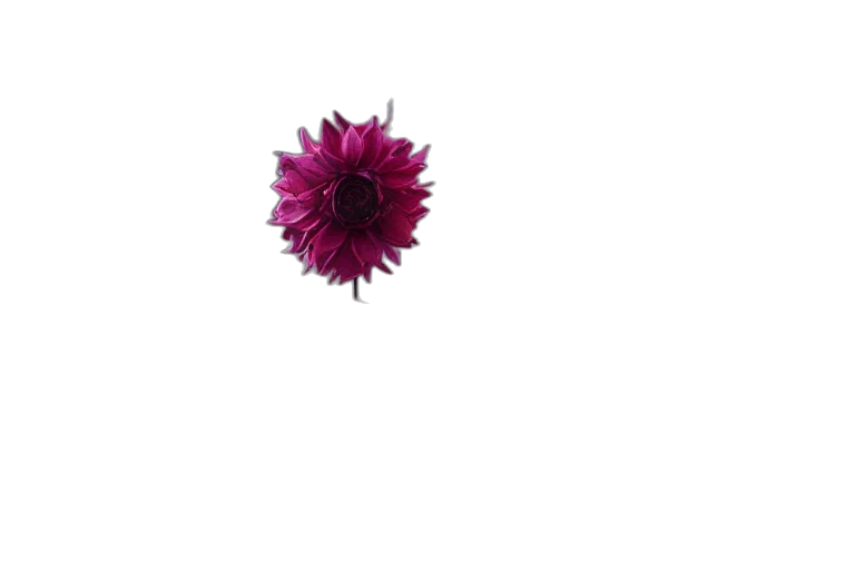 flower, crown, staff, jewelry, photorealistic, 3d render, pixel art, concept art transparent PNG cut-out