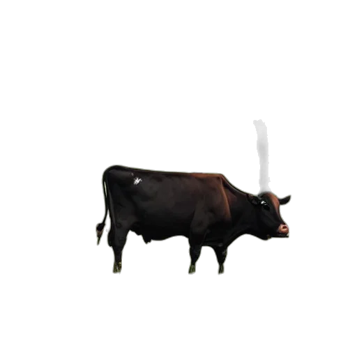 animal, creature, weapon, food transparent PNG cut-out