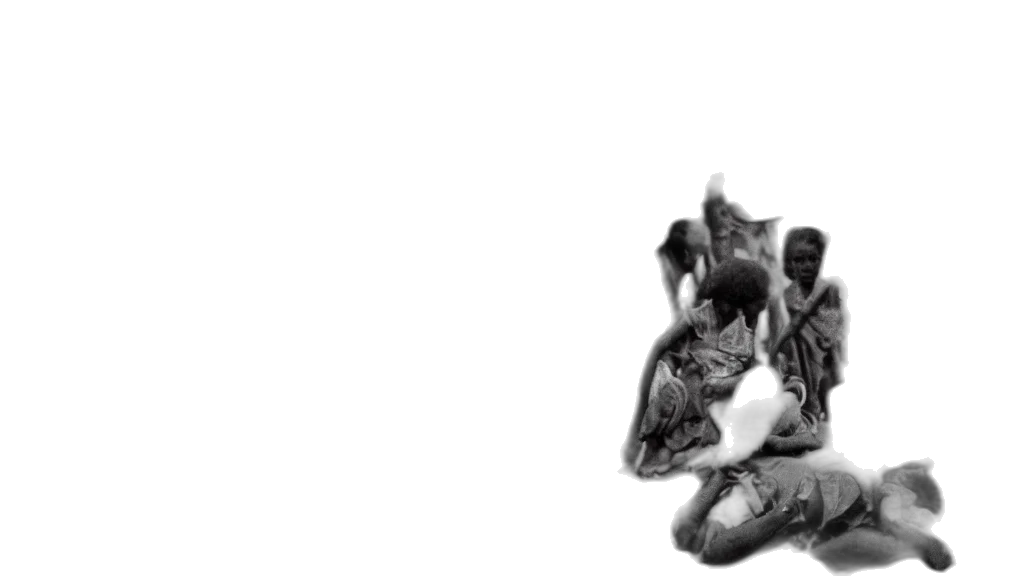 animal, shoes, crown, jewelry transparent PNG cut-out