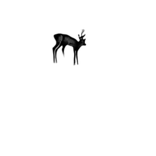 animal, creature, crown, hat transparent PNG cut-out