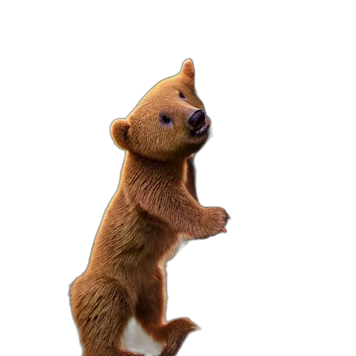 animal, staff, creature, hat transparent PNG cut-out