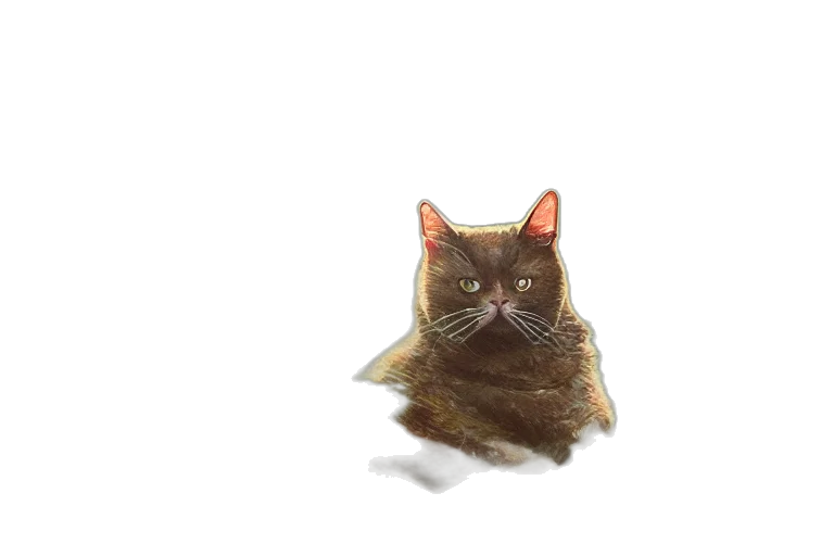 animal, creature, face, staff transparent PNG cut-out