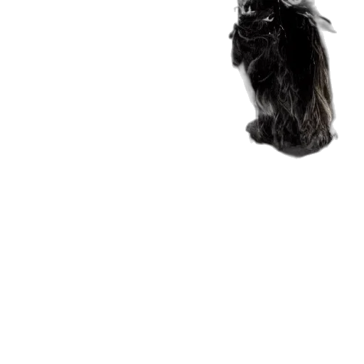 animal, hair, creature, staff, photorealistic, concept art, 3d render, pixel art transparent PNG cut-out