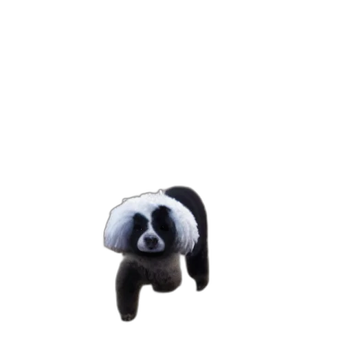 animal, creature, furniture, staff transparent PNG cut-out