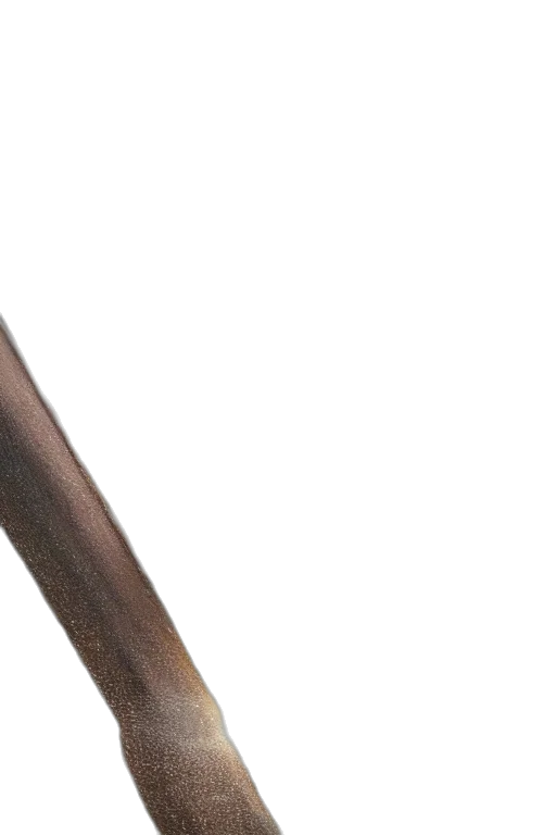 sword, staff, weapon, umbrella transparent PNG cut-out