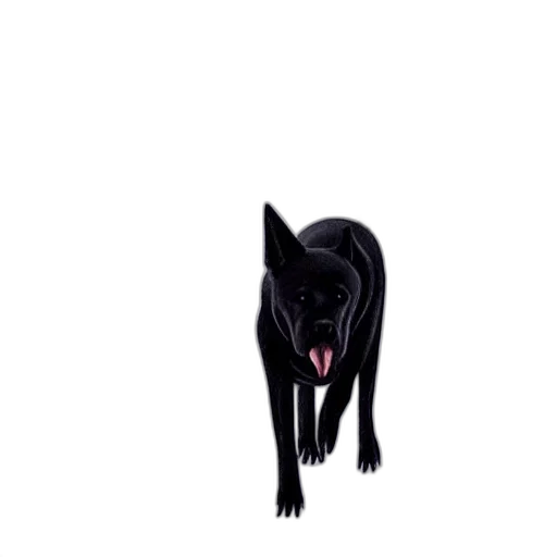 animal, creature, face, staff transparent PNG cut-out