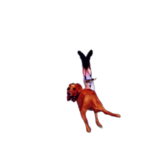 animal, creature, staff, pixel art, concept art, very, happy, dog transparent PNG cut-out