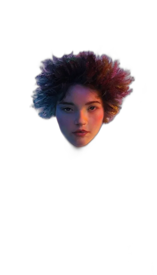 hair, face, hat, crown transparent PNG cut-out