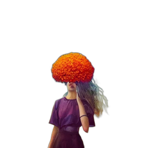 hat, crown, hair, dress transparent PNG cut-out