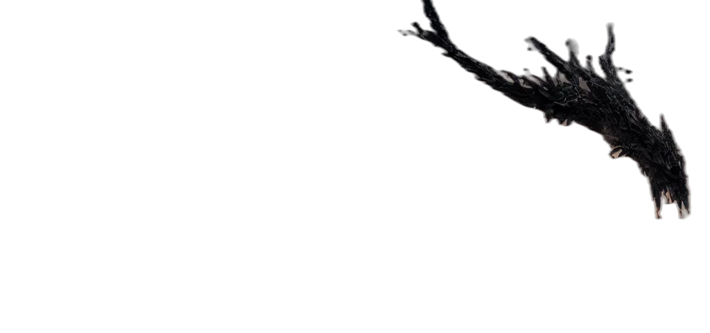 dragon, sword, hair, staff transparent PNG cut-out