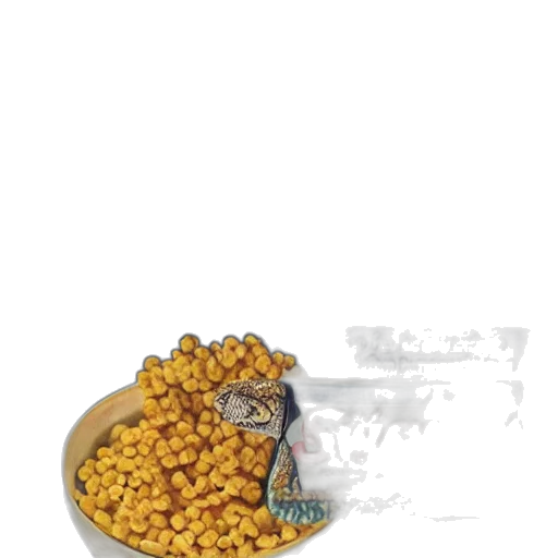 food, crown, jewelry, animal transparent PNG cut-out