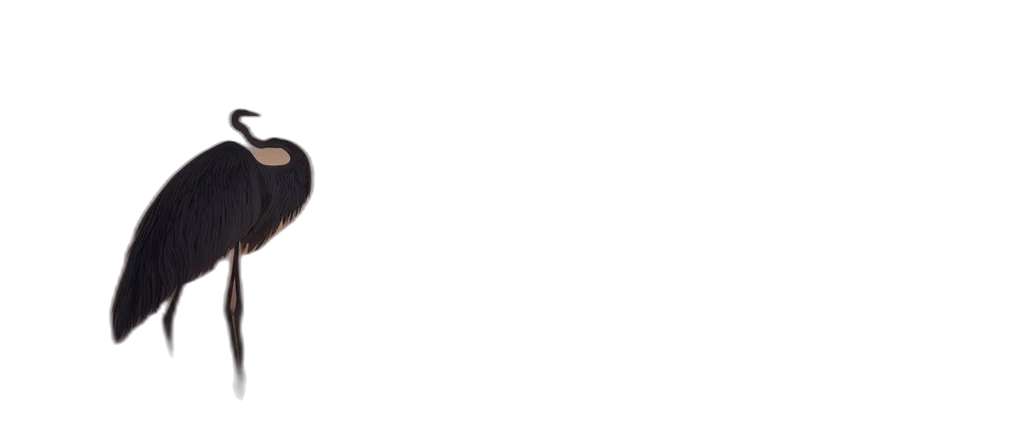 staff, face, mask, hat, monochrome, dark, sunrise, over transparent PNG cut-out