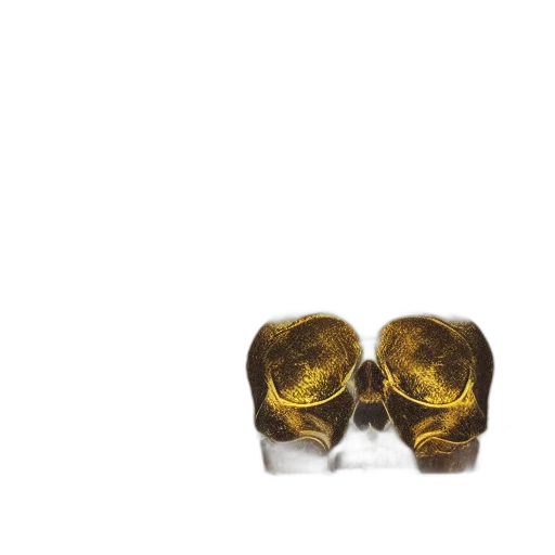 mask, hair, crown, animal, photorealistic, 3d render, concept art, golden transparent PNG cut-out