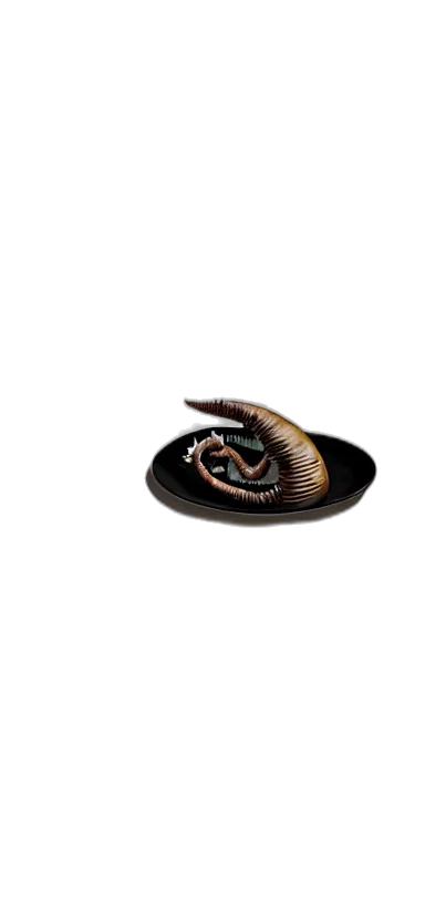 creature, dragon, hat, animal, 3d render, concept art, fantasy art, photorealistic transparent PNG cut-out