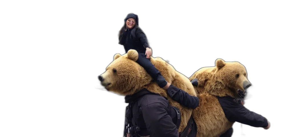 animal, riding, bear, work, city transparent PNG cut-out