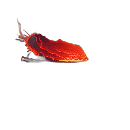 animal, dragon, hat, creature, 3d render, concept art, photorealistic, pixel art transparent PNG cut-out