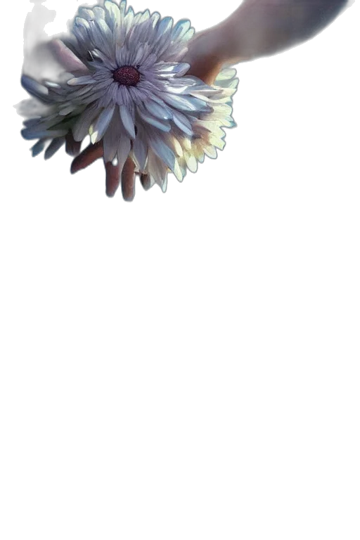 flower, crown, hair, staff, 3d render, photorealistic, pixel art, watercolor transparent PNG cut-out