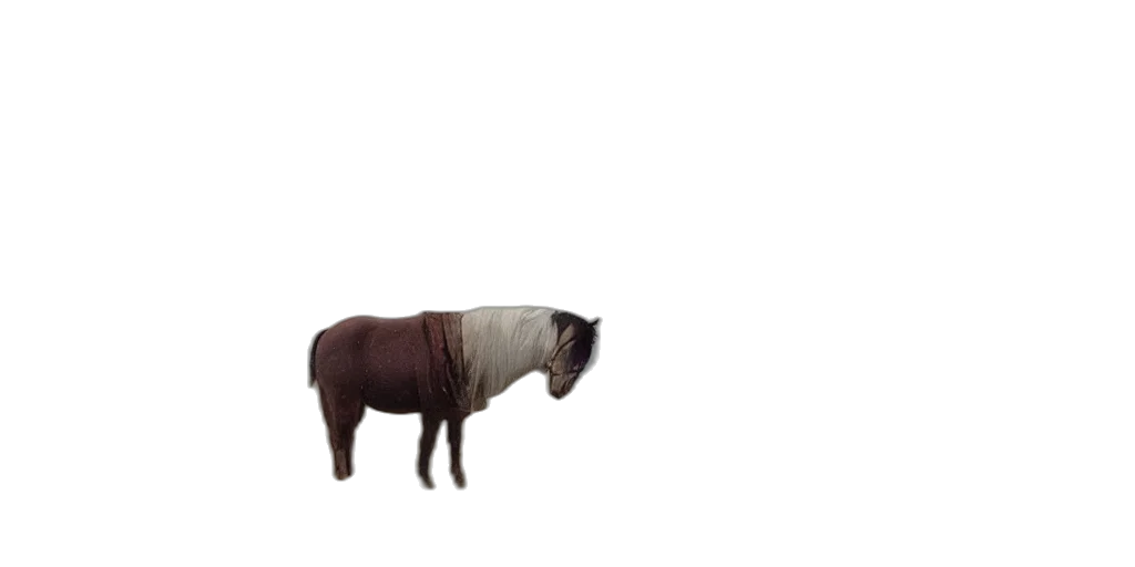 animal, creature, dress, hair transparent PNG cut-out