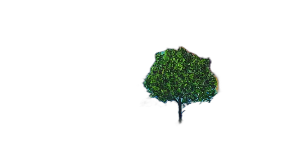 tree, crown, hat, hair, pixel art, 3d render, concept art, photorealistic transparent PNG cut-out