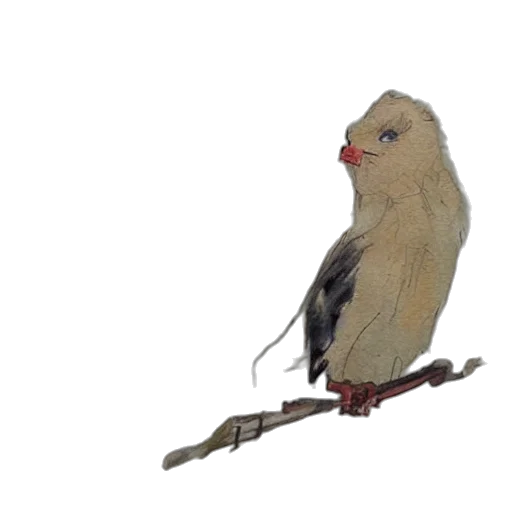 animal, staff, weapon, jewelry, photorealistic, concept art, 3d render, watercolor transparent PNG cut-out