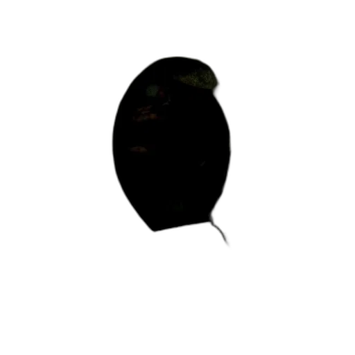 hat, animal, crown, mask transparent PNG cut-out