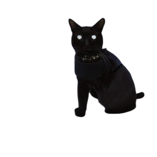 staff, animal, creature, jewelry, 3d render, dark, cat, black transparent PNG cut-out