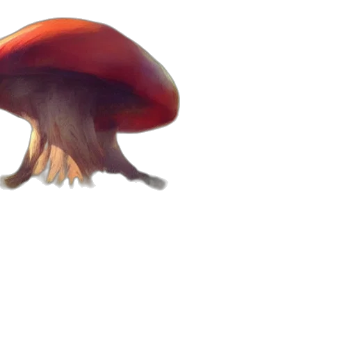 creature, hat, hair, animal transparent PNG cut-out