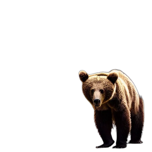 animal, creature, face, photorealistic transparent PNG cut-out
