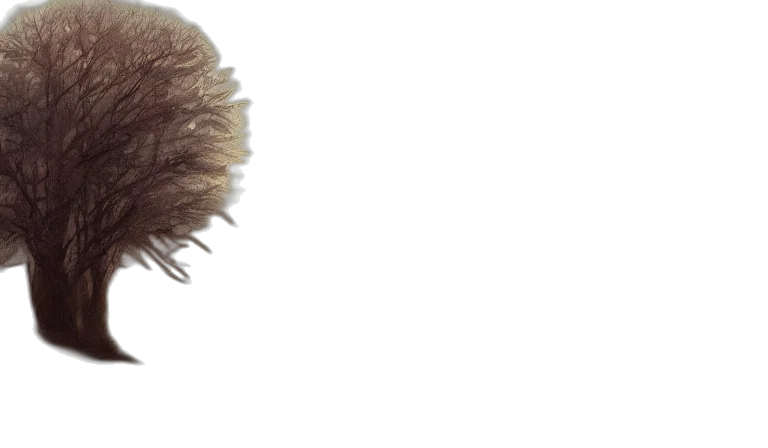 hair, hat, mask, face transparent PNG cut-out