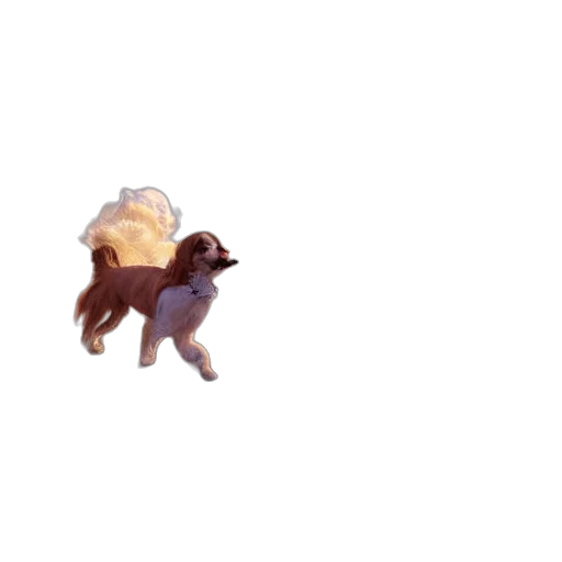 creature, animal, dragon, food transparent PNG cut-out
