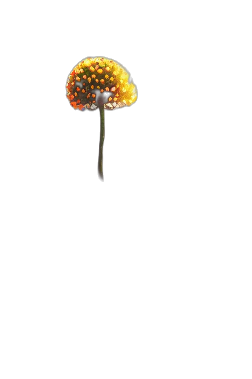 staff, tree, umbrella, flower, 3d render, concept art, pixel art, photorealistic transparent PNG cut-out