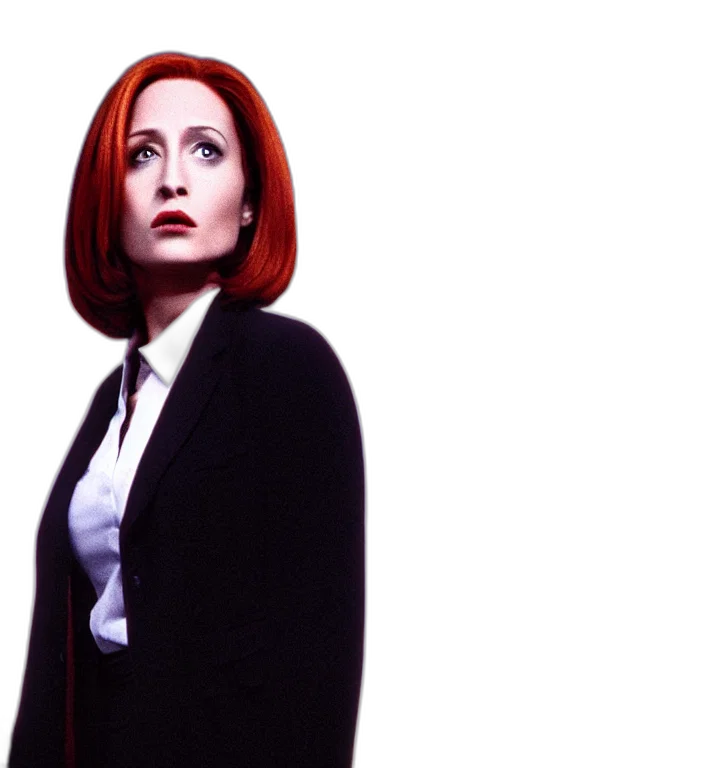 jacket, film, still, raven, bird, scully, files, movie transparent PNG cut-out