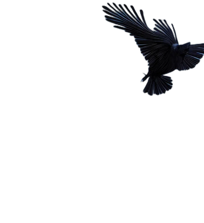 animal, creature, dragon, weapon, 3d render, photorealistic, concept art, pixel art transparent PNG cut-out
