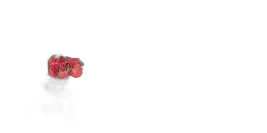 jewelry, flower, shoes, weapon, 3d render, photorealistic, concept art, red transparent PNG cut-out