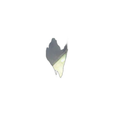 crown, jewelry, mask, flower transparent PNG cut-out