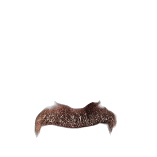 hair, hat, face, mask, photorealistic, 3d render, concept art, pixel art transparent PNG cut-out