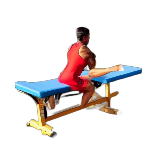 butterfly, doing, bench, presses transparent PNG cut-out