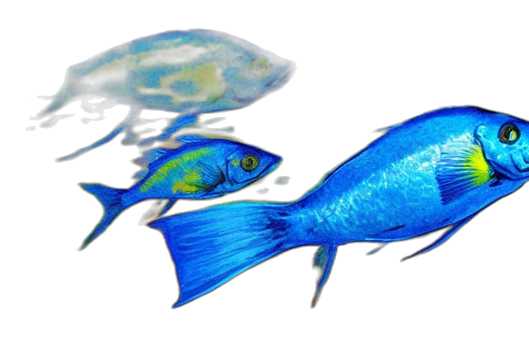 concept art, photorealistic, 3d render, watercolor, underwater, blue, fish, fantasy transparent PNG cut-out