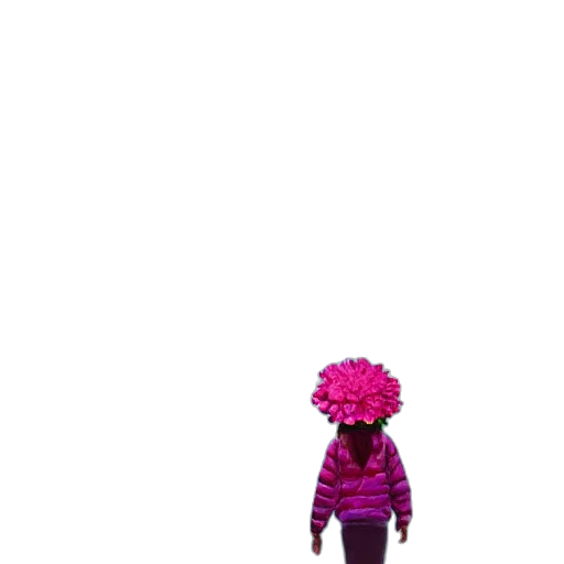 flower, creature, hair, hat transparent PNG cut-out