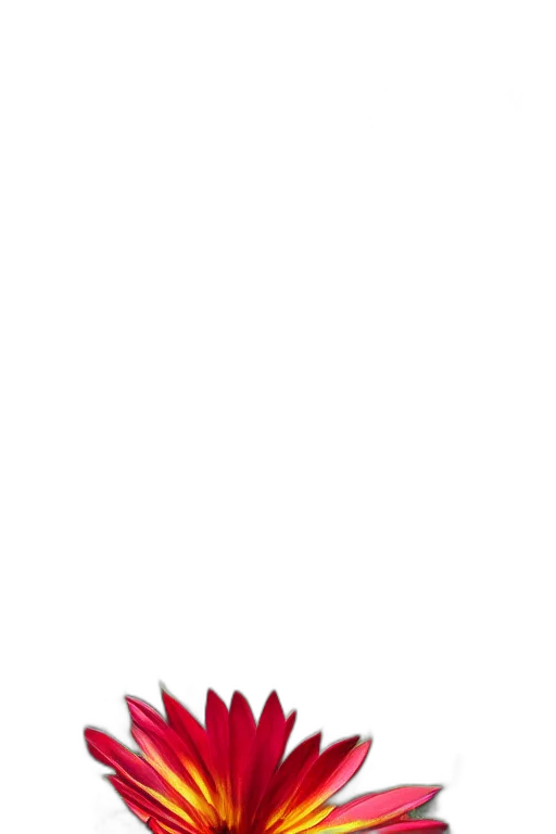 staff, robot, red, giant, exotic, flower, jungle, landscape transparent PNG cut-out
