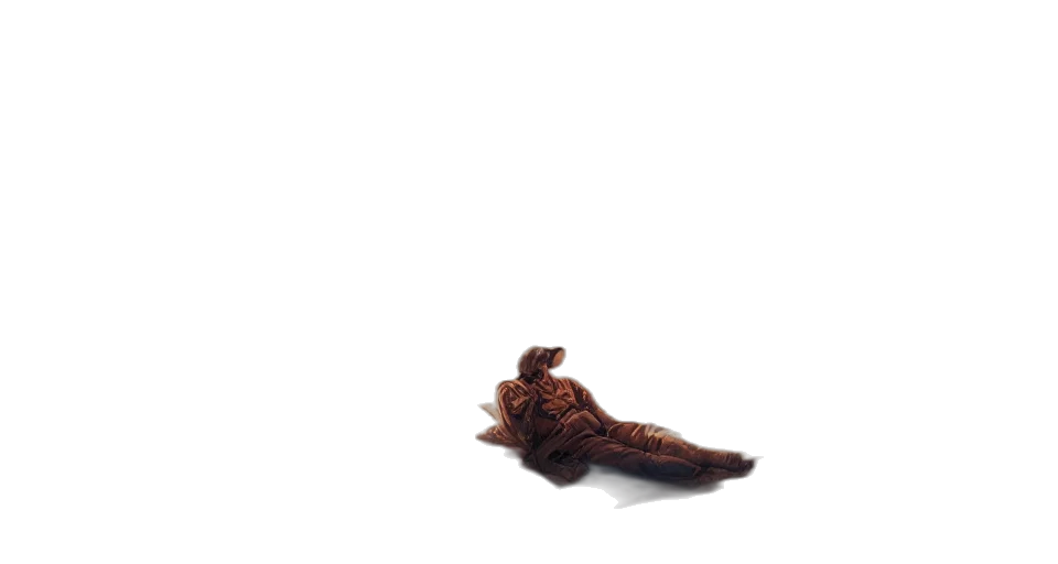 hair, dragon, animal, creature, 3d render, photorealistic, concept art, pixel art transparent PNG cut-out