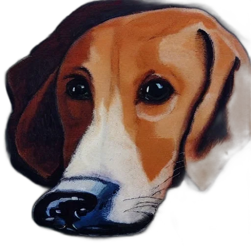 face, staff, animal, hat transparent PNG cut-out