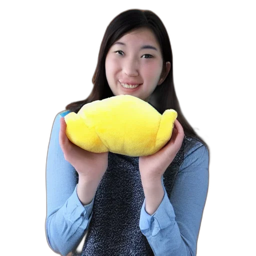 food, weapon, creature, hat, 3d render, photorealistic, lemon, plush transparent PNG cut-out