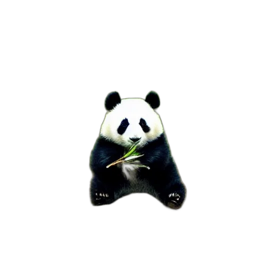 jewelry, animal, creature, mask transparent PNG cut-out