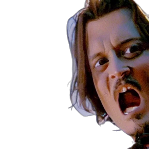 hair, face, johnny, depp transparent PNG cut-out