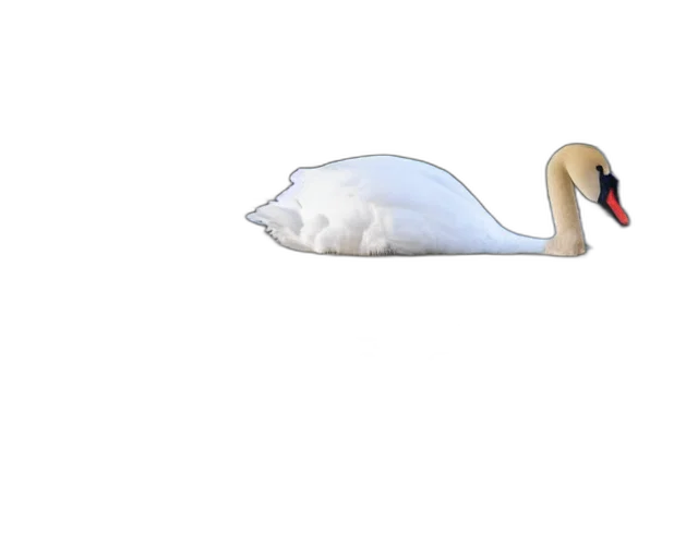 animal, creature, hat, weapon, 3d render, photorealistic, pixel art, concept art transparent PNG cut-out