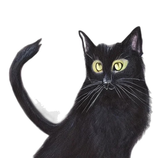 animal, staff, creature, hat transparent PNG cut-out